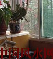 丹东有这些坏习惯，只会让财运从你身边溜走~